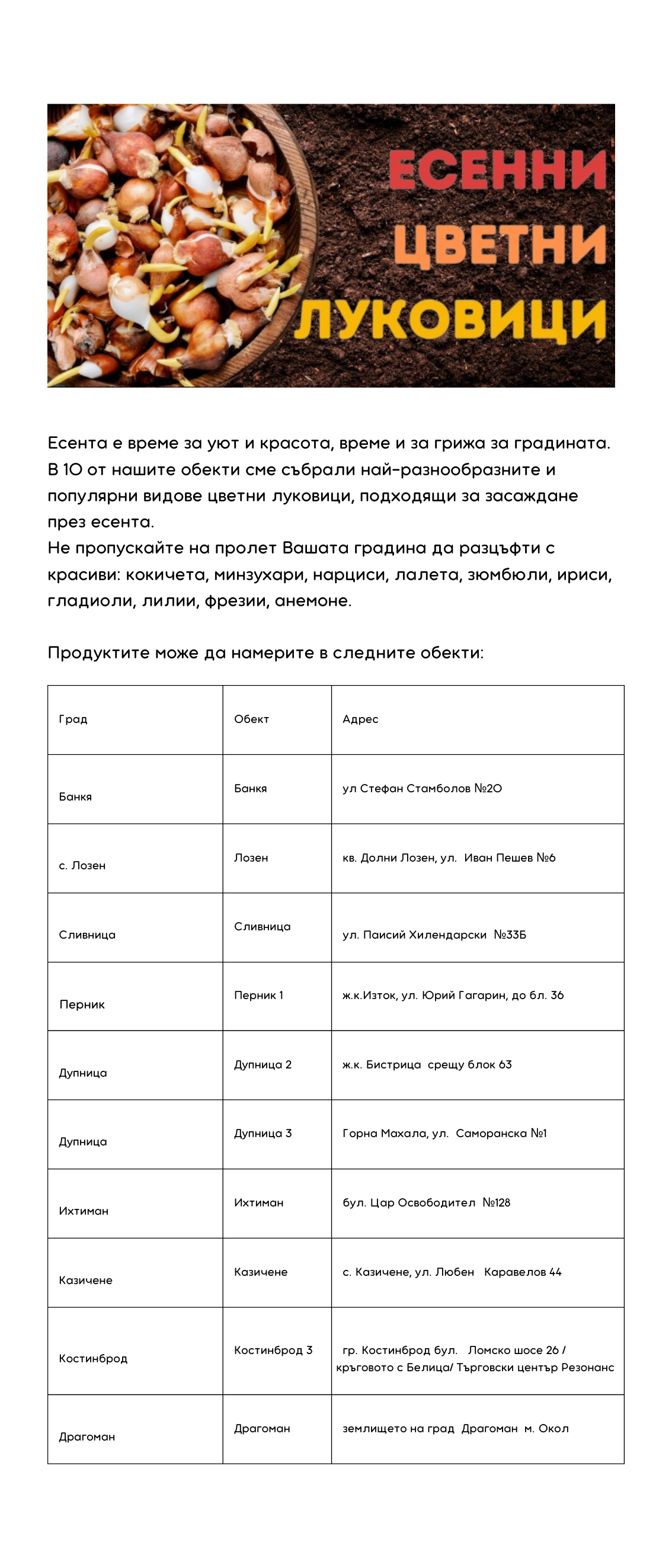 Луковици