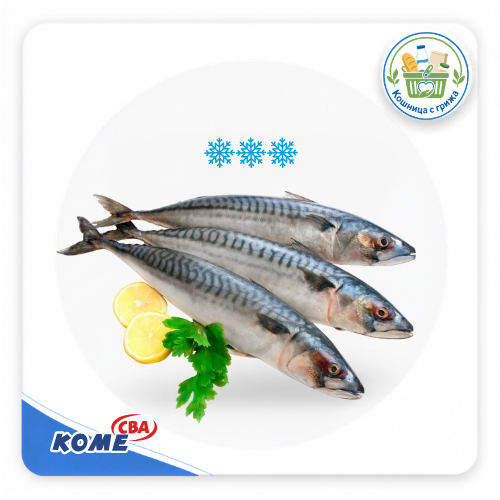 скумрия Морски дар 300/500 замразена кг